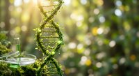 Green DNA double helix structure made of natural plant elements with laboratory glassware in sunlit forest environment for biotechnology and genetic research concepts.