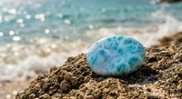 Blue jellyfish washed ashore on sandy beach with sparkling turquoise ocean waves in background. Marine life concept for environmental and nature themes.