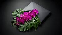 Elegant purple orchid flowers with tropical palm leaves emerging from gray envelope on dark background for luxury greeting cards and invitations.