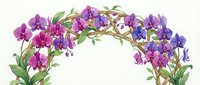 Orchid flower arch with purple and magenta blooms on curved branches with green foliage, isolated on white background for wedding designs and floral arrangements.