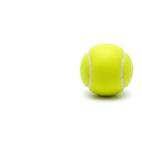 Yellow tennis ball isolated on white background for sports and recreation designs.
