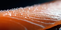 Fresh raw salmon fillet with salt crystals in macro close up view showing detailed fish texture and natural omega-3 rich meat structure.