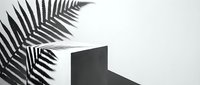 Minimalist monochrome composition featuring palm fronds casting shadows on white and dark geometric surfaces, suitable for modern design, branding, and contemporary backgrounds.