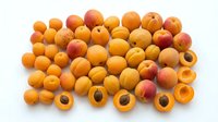 Ripe apricots with whole and halved fruits showing pits, arranged on white background for culinary and food styling projects.