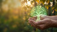 Mature hands holding glowing green plant icon against blurred natural background with golden sunlight, representing environmental conservation, sustainability, and eco-friendly growth initiatives.
