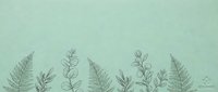 Delicate botanical line art border with ferns and leaves on textured mint green background for natural design projects and organic branding materials.