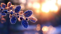 Delicate frost-covered leaves and berries on branch against golden sunrise light creating magical winter nature scene with soft bokeh background.