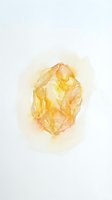 Watercolor painting of a golden hop flower cone isolated on white background, rendered in warm yellow and amber tones for brewing and craft beer design projects.