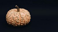 Textured ornamental gourd with bumpy surface and stem isolated on dark background, suitable for autumn and fall design projects.