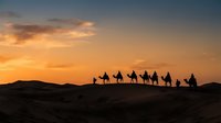 Silhouetted caravan of camels with riders traversing desert dunes at golden sunset, suitable for travel and adventure themed projects.