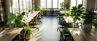 Modern office workspace with wooden desks, ergonomic chairs, and abundant green plants near large windows, suitable for corporate, business, and workplace design projects.