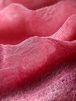 Microscopic view of organic tissue structure showing detailed pink cellular matrix with fibrous network patterns and undulating surface topography in medical science context.