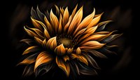 Dramatic golden sunflower bloom against dark background showcases detailed petals with rich contrast and artistic lighting, creating moody botanical fine art.