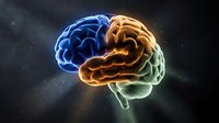 Glowing neon brain with blue, orange, and green sections on dark starry background, representing creativity, intelligence, and neuroscience concepts.