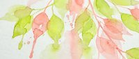 Watercolor botanical illustration with delicate green and pink leaves on white background. Soft artistic painting style for nature designs and decor.