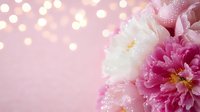 Dreamy pink and white peonies with soft bokeh lights and morning dew drops create romantic floral composition on pastel pink background. Perfect for wedding designs.