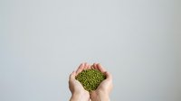 Isolated hand holding fresh green mung beans against neutral background, suitable for food, nutrition, health, cooking, and organic product design applications.