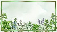 Watercolor herb garden border frame with basil, rosemary, lavender and mint on white background for culinary and botanical design projects.