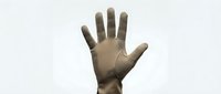 Human hand raised up showing open palm and five fingers against white background isolated for design and communication concepts.