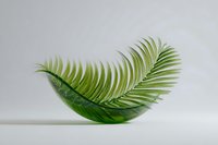 Fresh green palm leaf curved in gentle arc shape against light gray background, creating minimalist natural composition for wellness and spa designs.