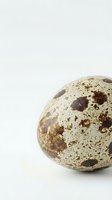 Speckled quail egg with brown and tan markings isolated on white background, suitable for food, cooking, and culinary design projects.