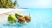 Fresh coconuts splashing into crystal clear turquoise water on tropical beach with palm trees and white sand creating refreshing summer vacation scene.
