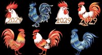 Rooster illustrations in red, orange, and blue tones isolated on transparent background. Ready for t-shirt designs, clipart, stickers, sublimation, and print-on-demand products.