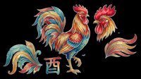 Colorful rooster illustrations with vibrant feathers in red, gold, and teal isolated on transparent background, ready for t-shirt designs, clipart, stickers, and print-on-demand products.