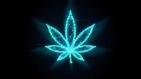 Glowing neon cannabis leaf symbol with bright cyan blue light effects on dark background for medical marijuana and hemp industry designs.