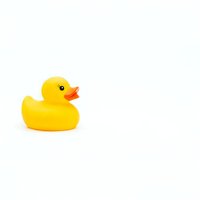 Yellow rubber duck toy isolated on white background for bath time play and childhood memories.