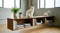 White cat sitting on wooden storage bench with shelves, potted plants, and books in modern minimalist interior with concrete wall and large windows, suitable for home decor and furniture design projects.