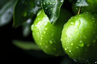 Fresh green apples with water drops on dark background, macro shot showing detailed texture of wet fruit surface and leaves in dramatic lighting.
