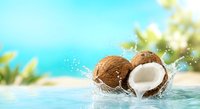 Fresh coconuts splashing into crystal clear tropical water with palm trees and sunny blue sky creating summer paradise vacation vibes for refreshing drink concepts.