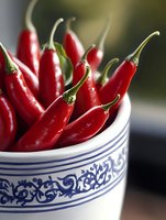 Fresh red chili peppers arranged in white ceramic bowl with blue ornamental pattern, close-up view showing vibrant color and texture against blurred background.