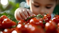 Child reaching for fresh red cherry tomatoes on vine, blurred in foreground with soft bokeh background. Healthy eating concept for kids.