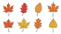 Autumn leaves collection with maple oak and birch foliage in warm orange red yellow colors isolated on white background for seasonal design projects.