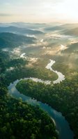 Aerial view of winding river through lush green forest with morning mist and golden sunlight creating serene natural landscape for environmental concepts.