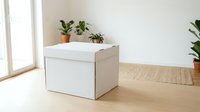 Modern white storage ottoman with houseplants in bright minimalist living room interior for home organization and decor solutions.