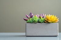 Colorful artificial succulents in modern concrete planter on clean surface. Decorative home garden arrangement with purple and yellow plants for interior design.