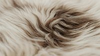 Soft beige sheepskin fur texture with natural swirl pattern, close-up macro shot of fluffy wool surface for backgrounds and design.