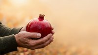 Mature adult hands holding fresh ripe pomegranate against warm blurred background, suitable for food, agriculture, harvest, and wellness content.
