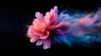 Pink carnation dissolving into colorful powder explosion against dark background, artistic macro photography with dramatic lighting and smoke effect.