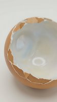Cracked eggshell with transparent membrane visible inside on white background isolated for cooking and food design concepts.