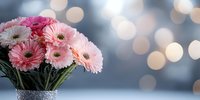 Pink gerbera daisies in silver vase against blurred bokeh background, creating romantic atmosphere with soft pastel flowers and dreamy light effects.