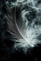 Delicate white feather floating in dark atmospheric smoke creates dramatic contrast and ethereal mood, suitable for spiritual or contemplative designs.