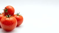 Fresh ripe red tomatoes with water droplets isolated on white background for culinary design and healthy cooking concepts.