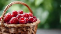 Fresh ripe red raspberries in wicker basket on green natural background. Organic summer berries harvest for healthy eating and cooking recipes.