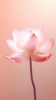 Delicate pink lotus flower in full bloom against soft coral background, showcasing graceful petals and long stem. Suitable for wellness and spiritual designs.