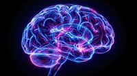 Glowing neon brain with electric neural pathways in purple and blue colors on black background for medical and technology concepts.
