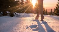 Barefoot person walking through fresh snow at golden hour sunset with warm sunlight filtering through evergreen trees creating magical winter atmosphere.